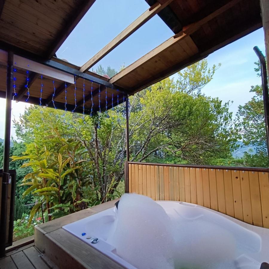 Monteverde - Ant Lodge